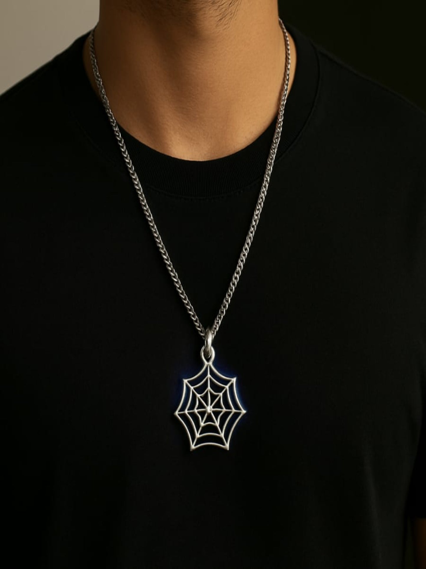 Spider Web 